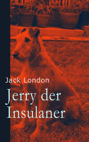 Cover of the book Jerry der Insulaner by Frederic Arnold Kummer