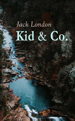 Cover of the book Kid & Co. by Jenny Holmlund