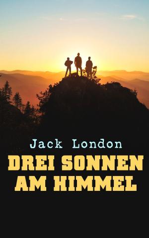 Cover of the book Drei Sonnen am Himmel by John Henry Mackay