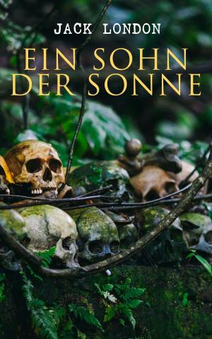 Cover of the book Ein Sohn der Sonne by Miguel De Cervantes