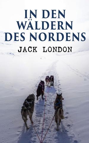 Cover of the book In den Wäldern des Nordens by Frances Burney