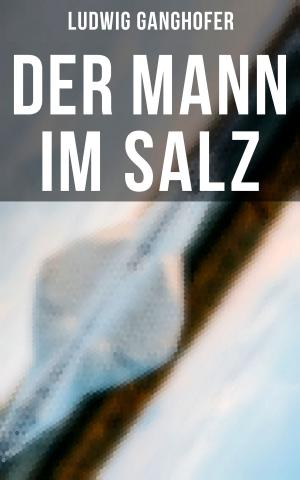 Cover of the book Der Mann im Salz by Georg Christoph Lichtenberg