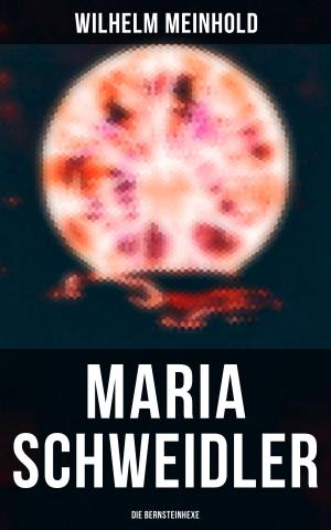Cover of the book Maria Schweidler: Die Bernsteinhexe by Emile Zola