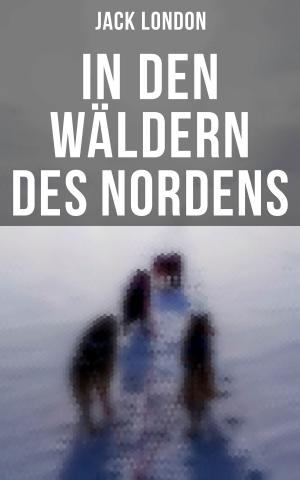 Cover of the book In den Wäldern des Nordens by A. G. Moye