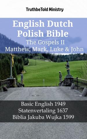 bigCover of the book English Dutch Polish Bible - The Gospels II - Matthew, Mark, Luke & John by 