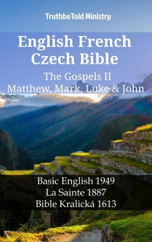 bigCover of the book English French Czech Bible - The Gospels II - Matthew, Mark, Luke & John by 