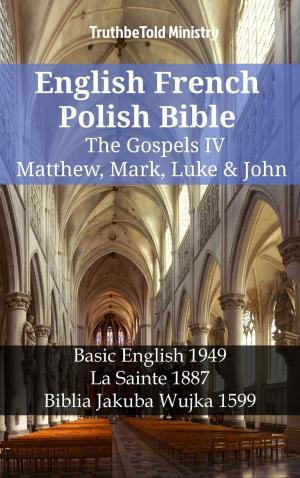 bigCover of the book English French Polish Bible - The Gospels IV - Matthew, Mark, Luke & John by 