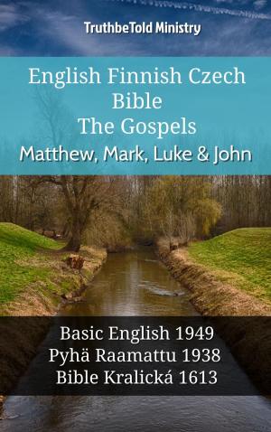 bigCover of the book English Finnish Czech Bible - The Gospels - Matthew, Mark, Luke & John by 