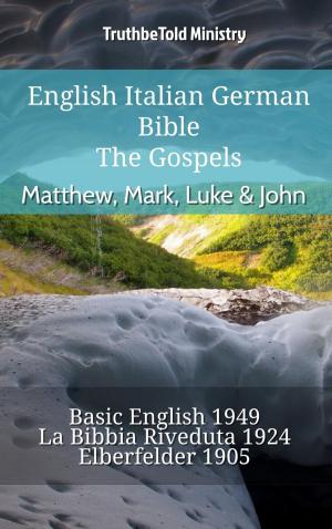 bigCover of the book English Italian German Bible - The Gospels - Matthew, Mark, Luke & John by 