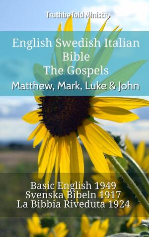 Book cover of English Swedish Italian Bible - The Gospels - Matthew, Mark, Luke & John