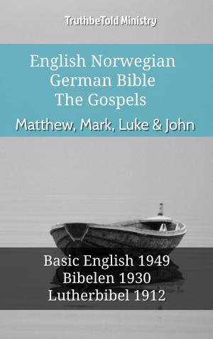 bigCover of the book English Norwegian German Bible - The Gospels - Matthew, Mark, Luke & John by 