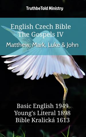 Cover of English Czech Bible - The Gospels IV - Matthew, Mark, Luke & John