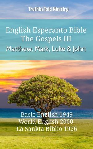 Book cover of English Esperanto Bible - The Gospels III - Matthew, Mark, Luke and John