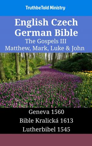 bigCover of the book English Czech German Bible - The Gospels III - Matthew, Mark, Luke & John by 