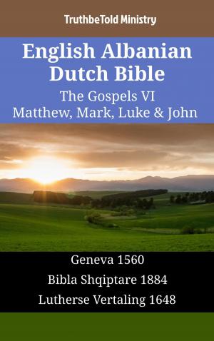 bigCover of the book English Albanian Dutch Bible - The Gospels VI - Matthew, Mark, Luke & John by 