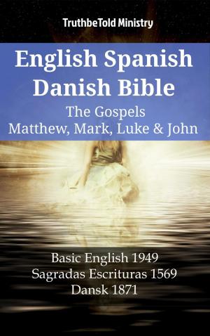 bigCover of the book English Spanish Danish Bible - The Gospels IV - Matthew, Mark, Luke & John by 