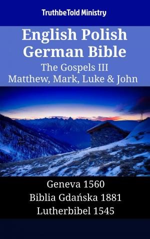 Cover of English Polish German Bible - The Gospels III - Matthew, Mark, Luke & John