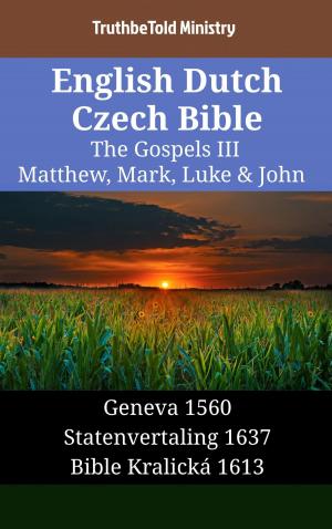 Cover of the book English Dutch Czech Bible - The Gospels III - Matthew, Mark, Luke & John by 