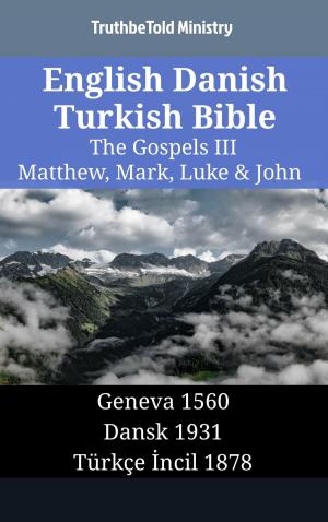 Cover of the book English Danish Turkish Bible - The Gospels III - Matthew, Mark, Luke & John by Brian Woods