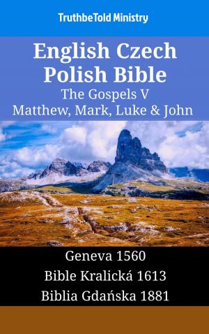 Cover of the book English Czech Polish Bible - The Gospels V - Matthew, Mark, Luke & John by TruthBeTold Ministry