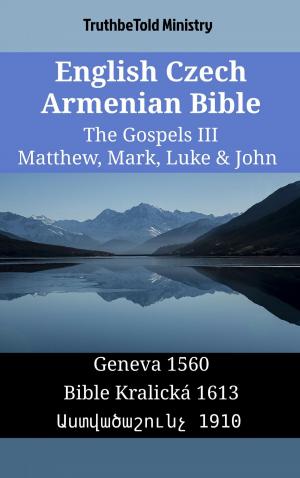 Cover of the book English Czech Armenian Bible - The Gospels III - Matthew, Mark, Luke & John by Louis Segond