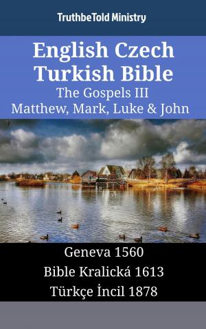 Cover of the book English Czech Turkish Bible - The Gospels III - Matthew, Mark, Luke & John by Varios Autores
