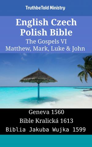 Cover of the book English Czech Polish Bible - The Gospels VI - Matthew, Mark, Luke & John by TruthBeTold Ministry