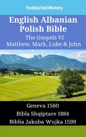 Cover of English Albanian Polish Bible - The Gospels VI - Matthew, Mark, Luke & John