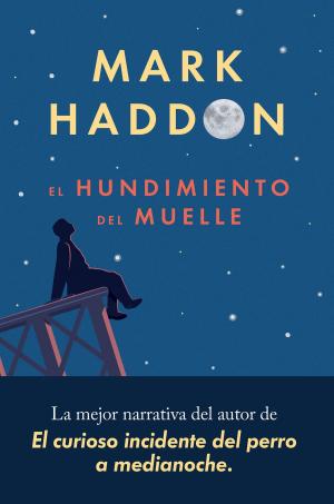 Cover of the book El hundimiento del muelle by Manuel Vilas
