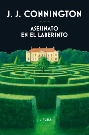 Cover of the book Asesinato en el laberinto by Amos Oz, Fania Oz-Salzberger