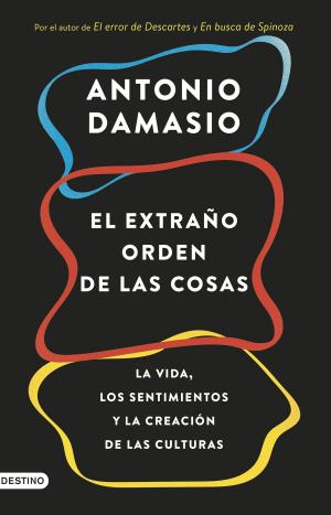 Cover of the book El extraño orden de las cosas by Diana López Varela