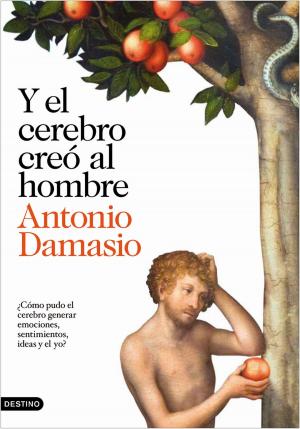 Cover of the book Y el cerebro creó al hombre by Moruena Estríngana