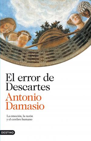 Cover of the book El error de Descartes by Angie García López
