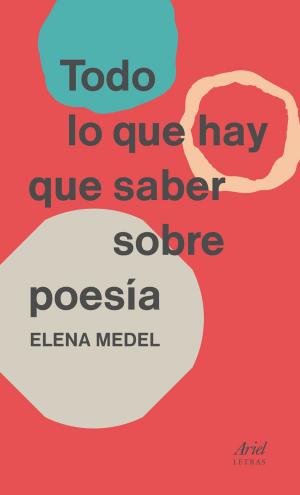 Cover of the book Todo lo que hay que saber sobre poesía by Máximo Huerta