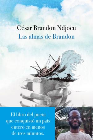 Cover of the book Las almas de Brandon by Juan Luis Arsuaga