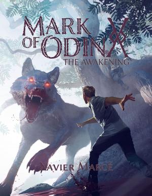 Book cover of Mark of Odin: The Awakening
