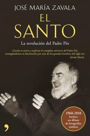 Cover of the book El Santo by Fabiana Peralta