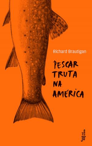 Cover of the book Pescar truta na América by Jacques Fux