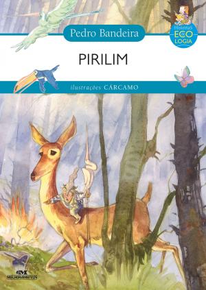 Cover of the book Pirilim by Ruth Rocha, Otávio Roth