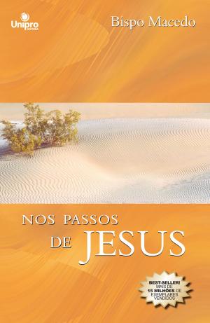 Cover of the book Nos passos de Jesus by Damien Jackson, Aquilud Lobato, Paulo Sergio Rocha Junior, Camila Saldanha, Shirley Rodrigues