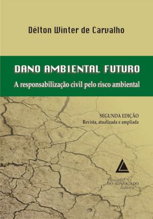 Cover of the book Dano Ambiental Futuro A Responsabilização Civil Pelo Risco Ambiental by André Luís Callegari, Lisandro Luís Wottrich, Anderson Vichinkeski Teixeira
