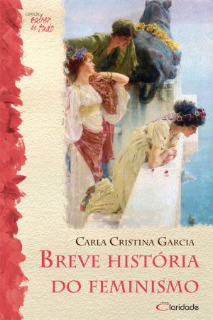 Cover of the book Breve História do feminismo by 
