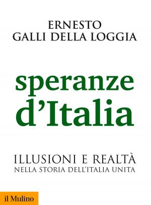 Book cover of Speranze d'Italia