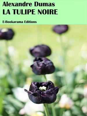 Cover of the book La tulipe noire by Federico García Lorca