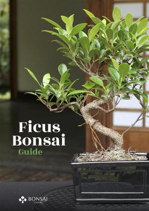 Cover of the book Ficus Bonsai Guide by Laura Alpízar Antillón