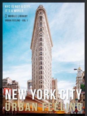 Book cover of New York City Guide Of Urban Feeling