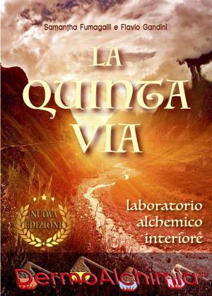 Cover of the book La quinta via by Angel Jeanne