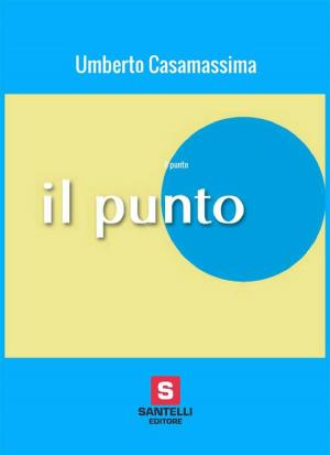 Cover of the book Il punto by Vincenzo Napolillo
