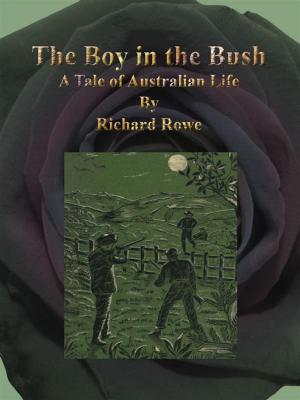 Cover of the book The Boy in the Bush by Harry Castlemon