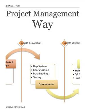 Cover of the book Project Management Way by MAC